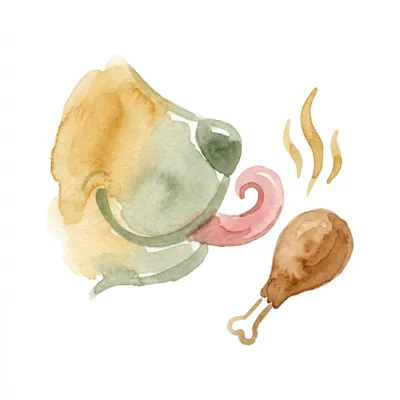 Chicken Flavor palatability